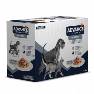 Advance Veterinary Dog and Cat Wet Recovery