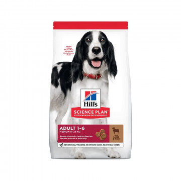 Hill's Science Plan Adult Large Breed Cordero 18 Kg