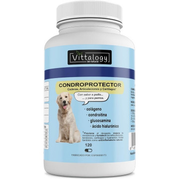 Vittalogy Condroprotector Para Perros 120 Cápsulas