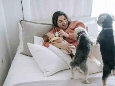 Como adaptar o seu cão à chegada de um bebé à família?