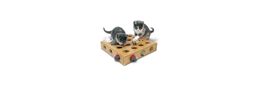 Juguetes para gatos: ratones, cañas y Kongs
